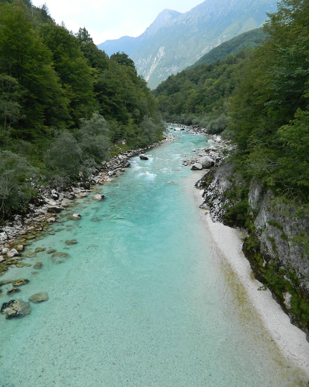 Clear green water running shallow over pale stones, forest on both banks